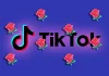 Mennyit ér egy rózsa ajándék a TikTokon