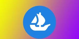 Cum să fii verificat pe OpenSea