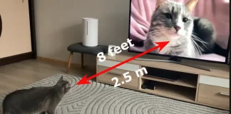 Distanța de vizionare a unui televizor de 65 inch